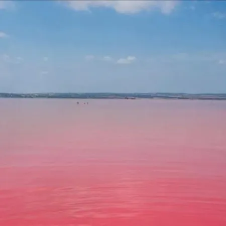 Casa Claro Maison Familiale 4 Confort, Jacuzzi Privé, Piscine Commune, Quartier Résidentiel Balcones